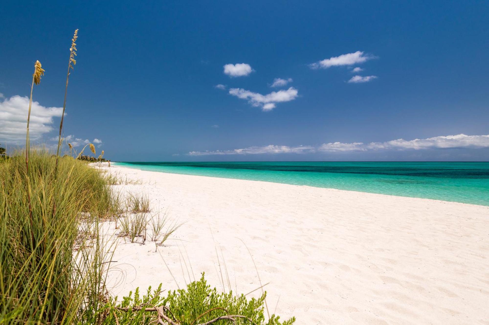 Grace Bay Club Hotel Bilik gambar